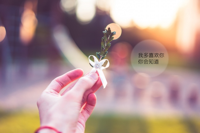 老婆出軌懷上了別人的孩子怎么辦